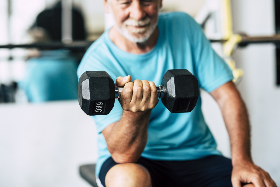 Bicep Curl, Exercise, Older Adults, Benefits of Exercise, Resistance Training, Study, Research 