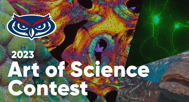 Cast Your Vote for FAU’s Art of Science Contest