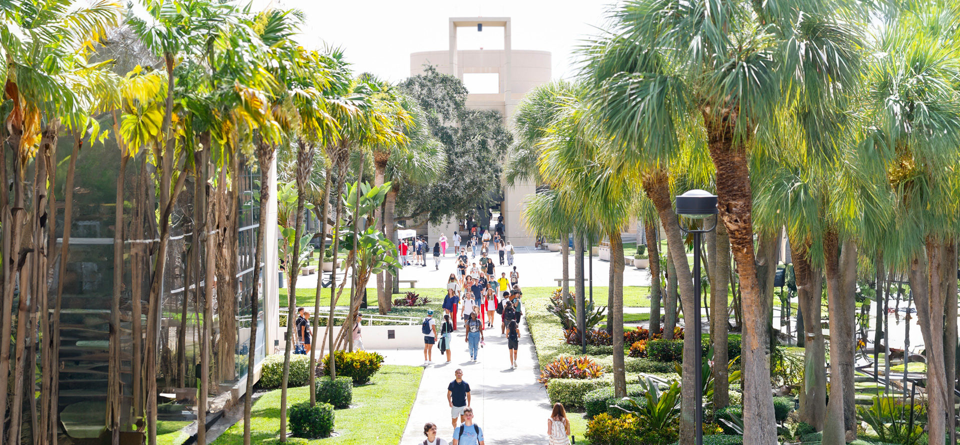 students on campus