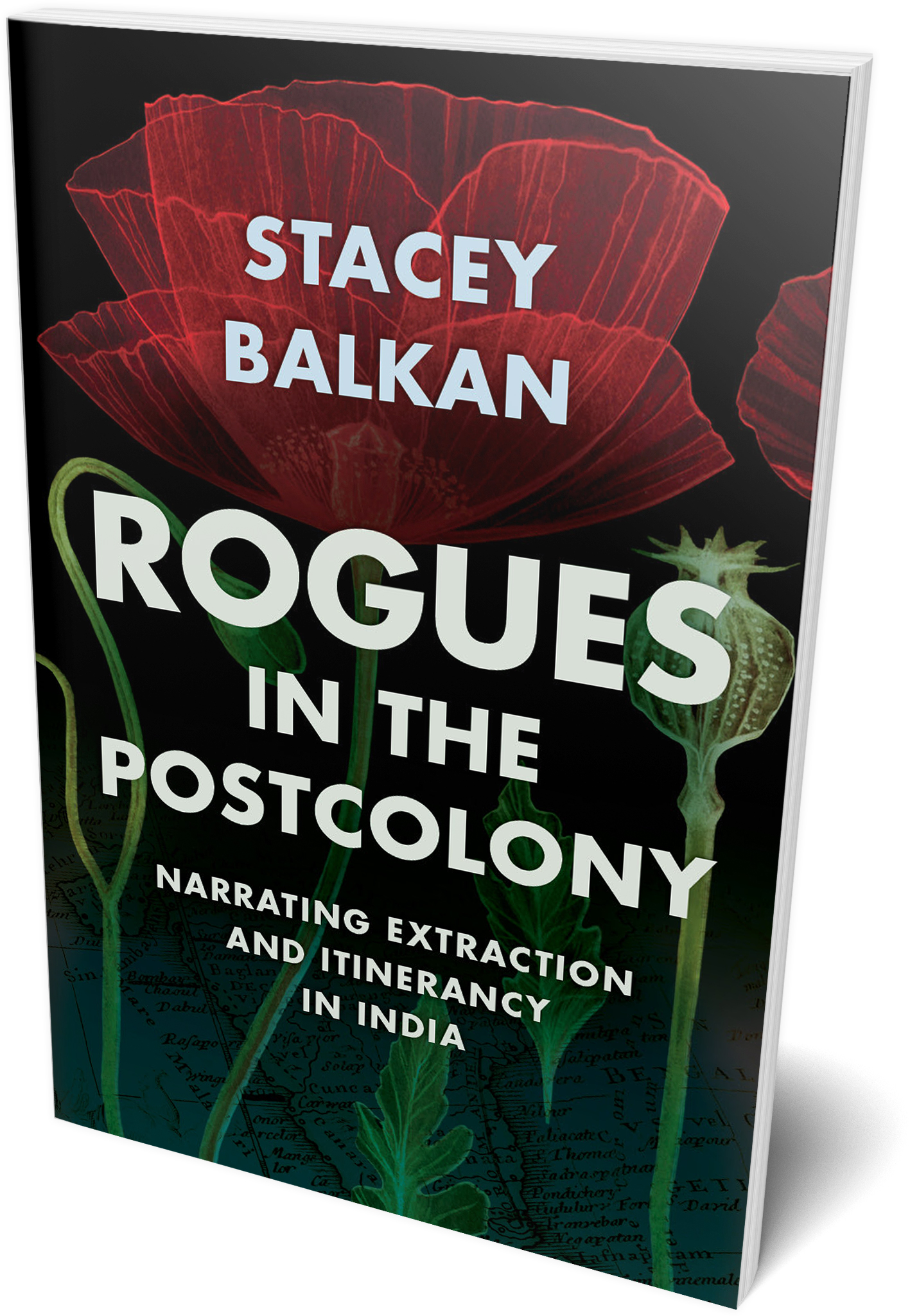 Balkan's Rogues in the Postcolony: Narrating Extraction and Itinerancy in India 