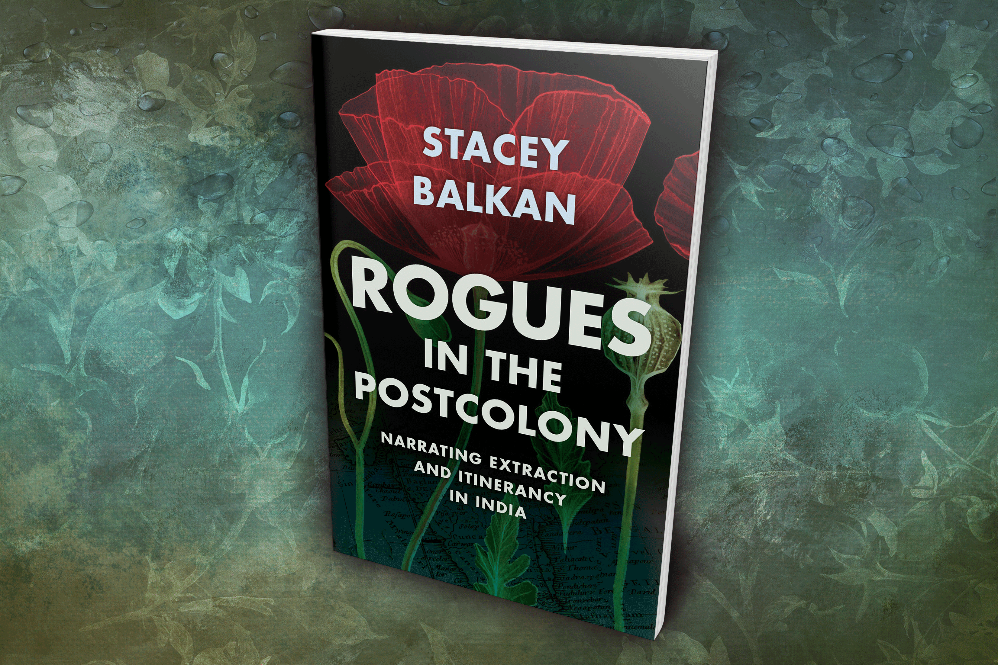 Stacey Balkan's Rogues in the Postcolony