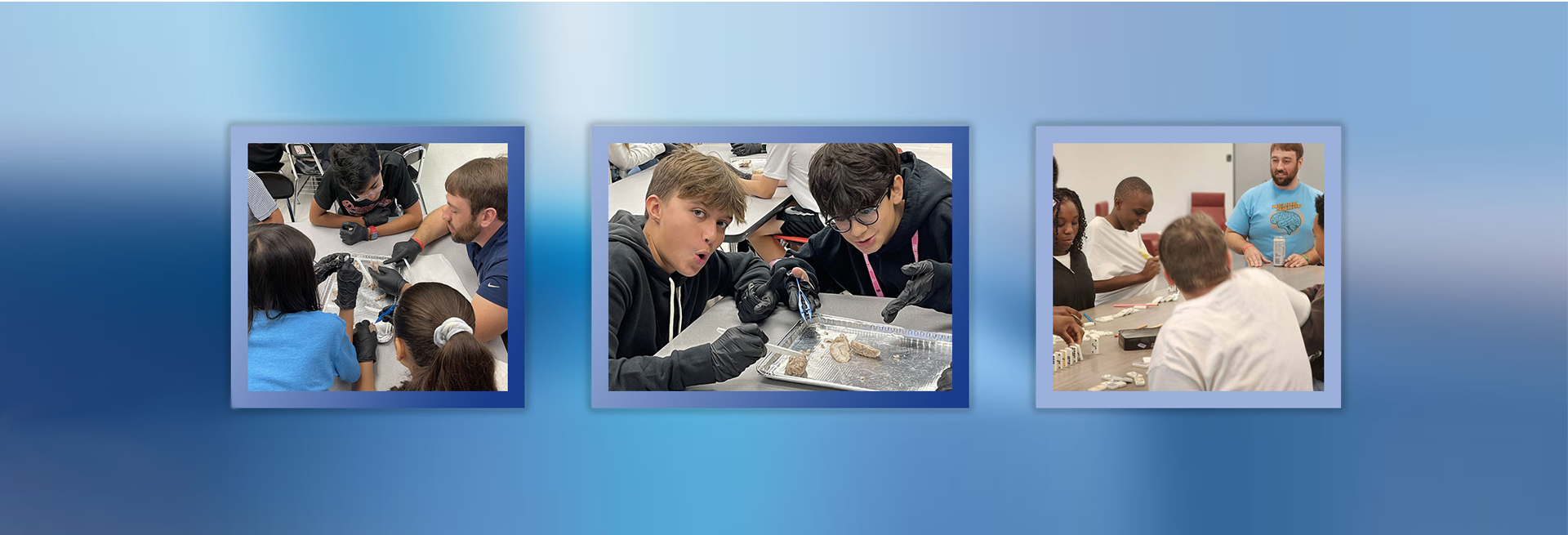 Students in the Brain lab