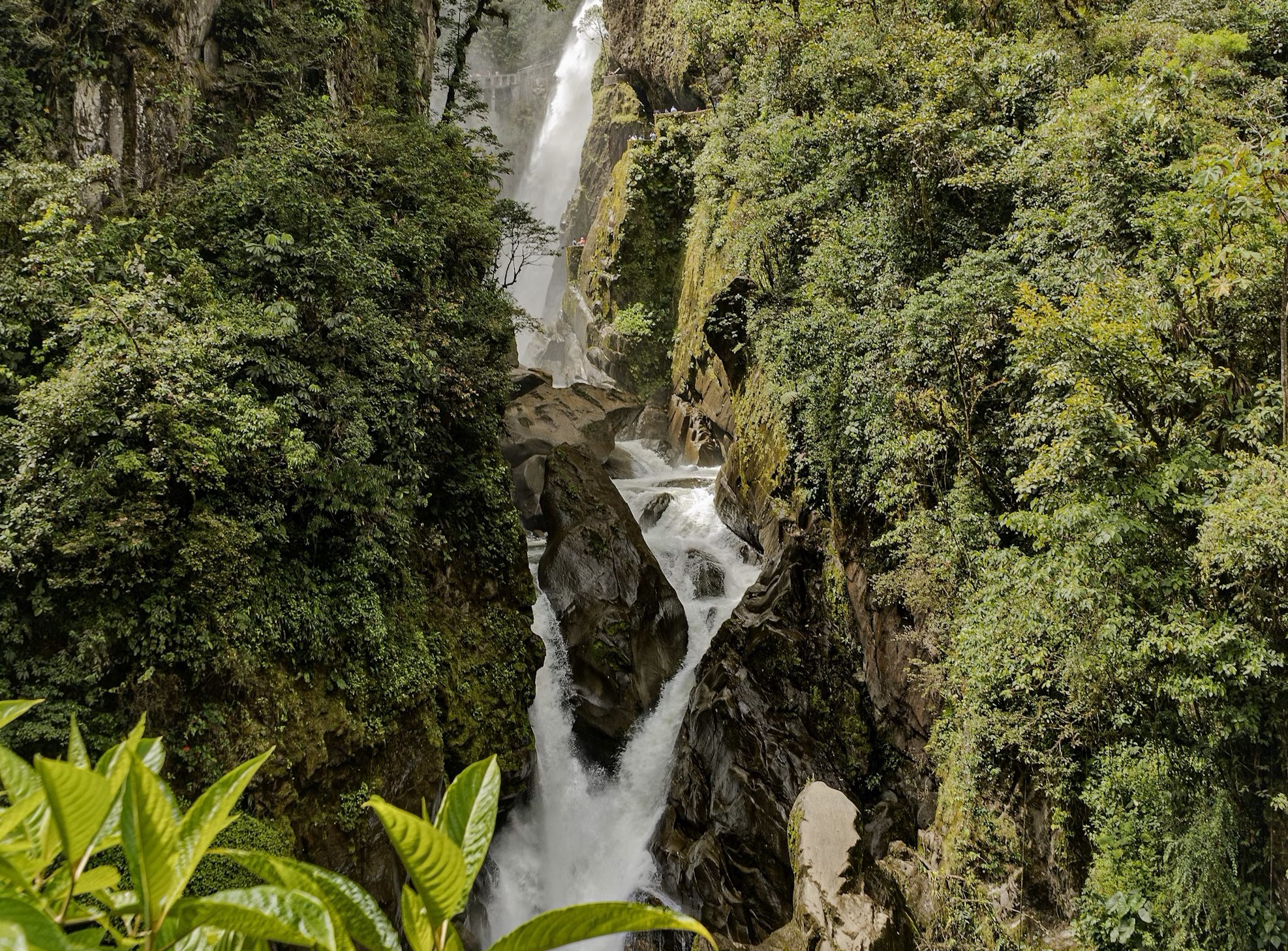 salangophotolookout