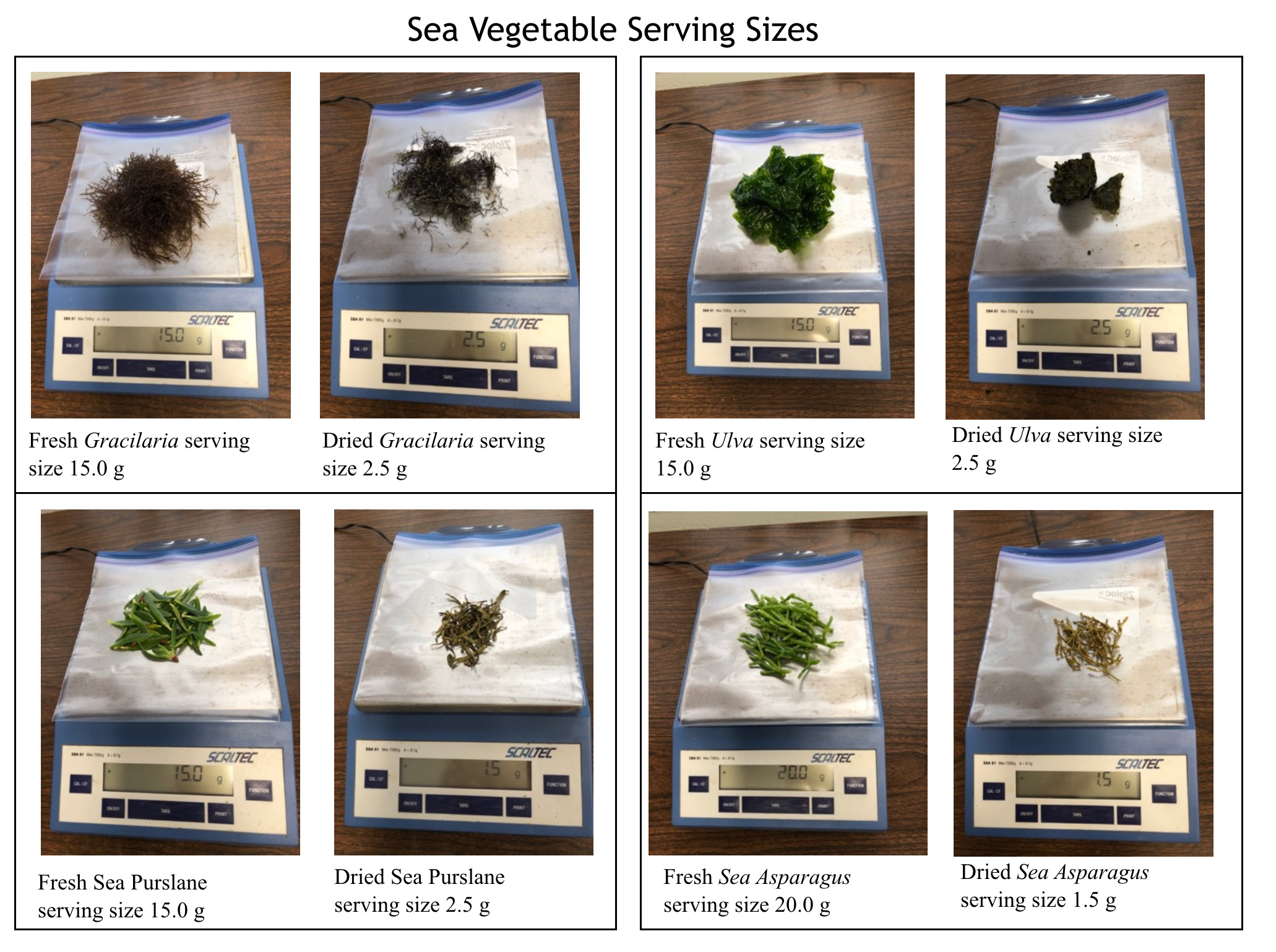 Sea Vegetables Serving Sizes
