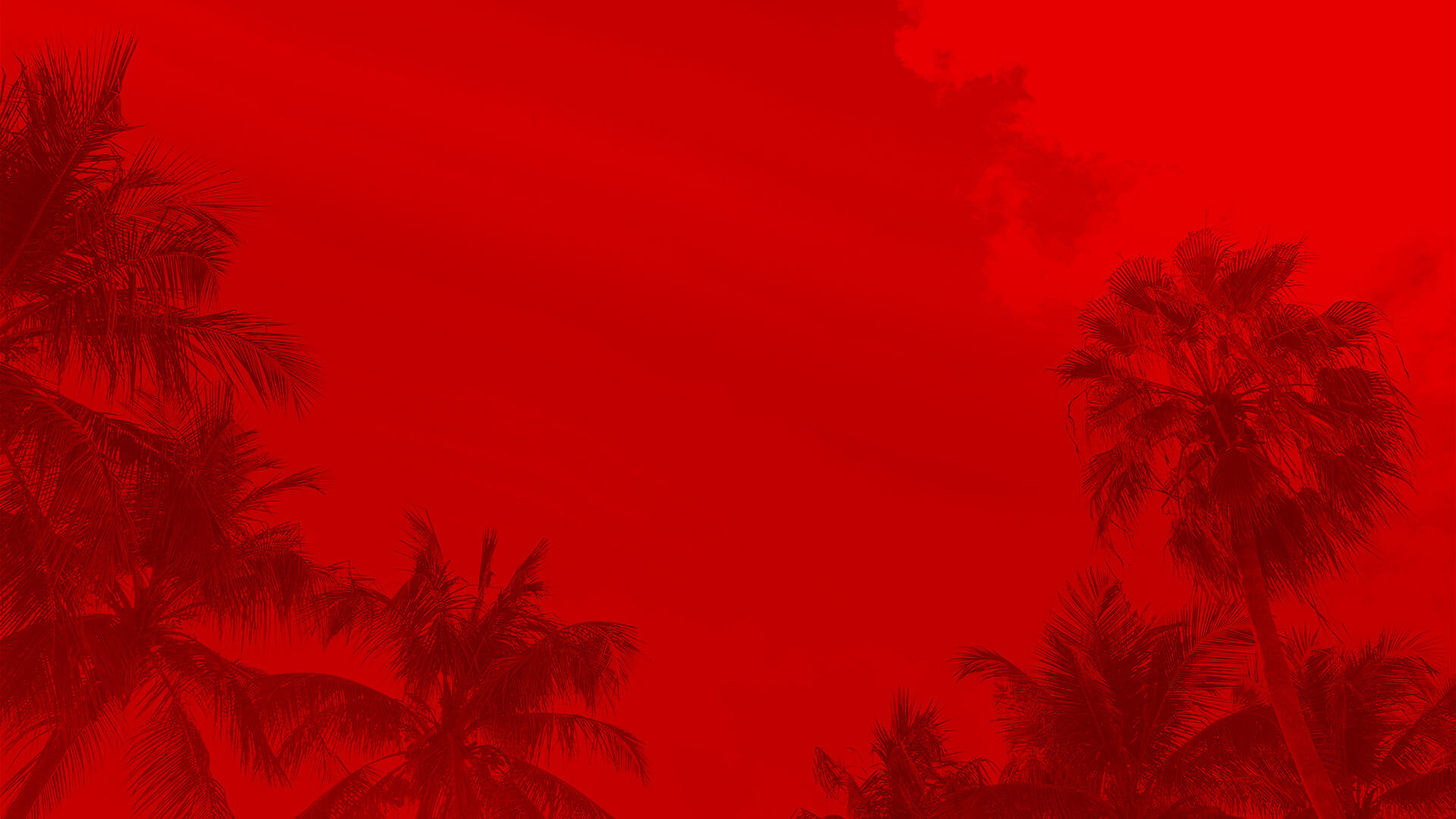 Palm trees under the sky with a red tint overlay