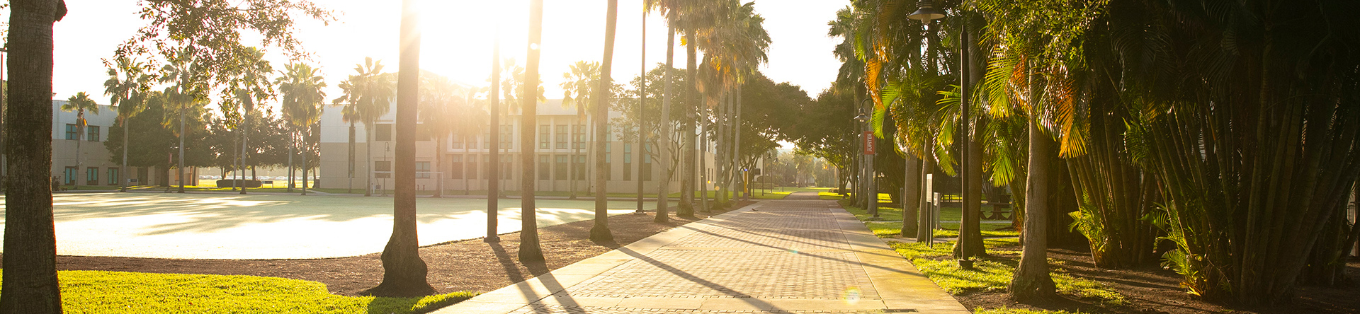 Jupiter campus recreational fields in the sun shine