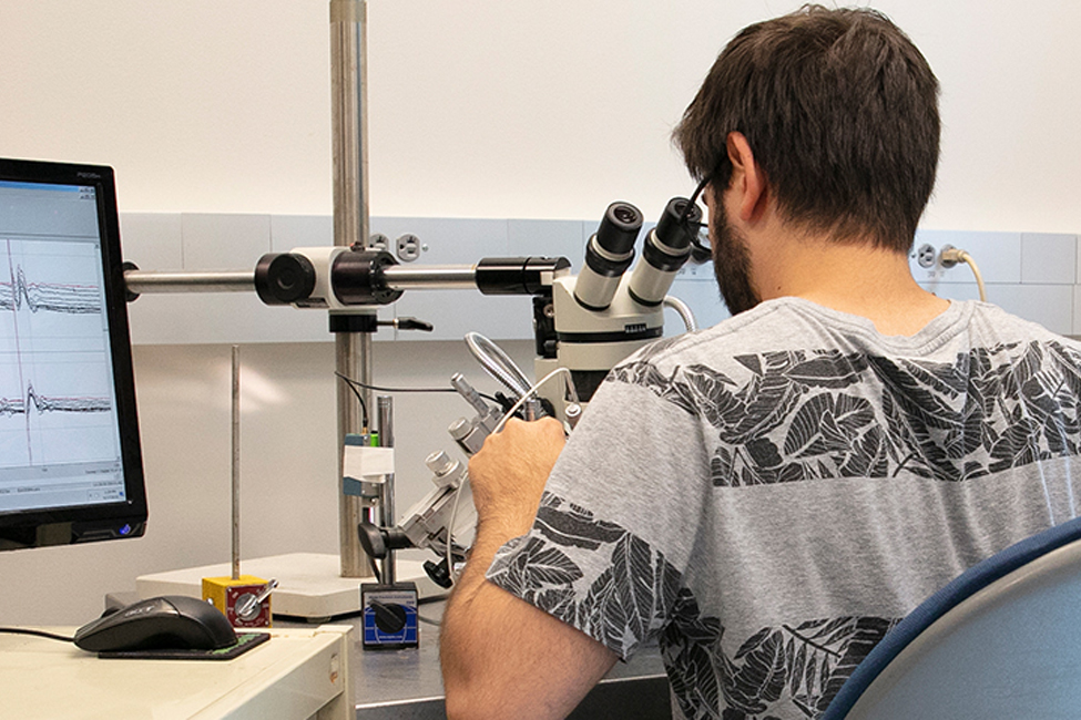 male student looking into microscope