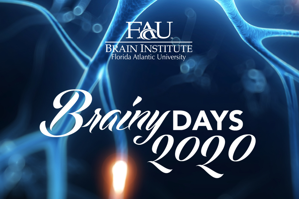 Brainy Days 2020