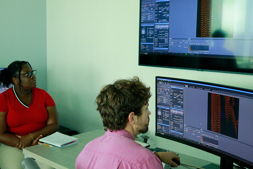 Seated student looks at tv screen while instructor sits at computer with microscope image on screens.