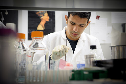 Researcher doing work in lab