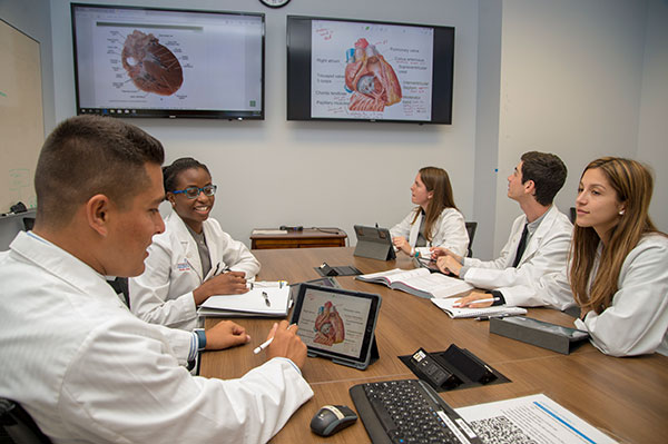 Medical student group studying around meeting room table