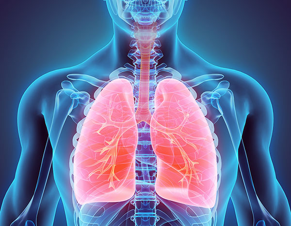 Illustration of a human body with lungs