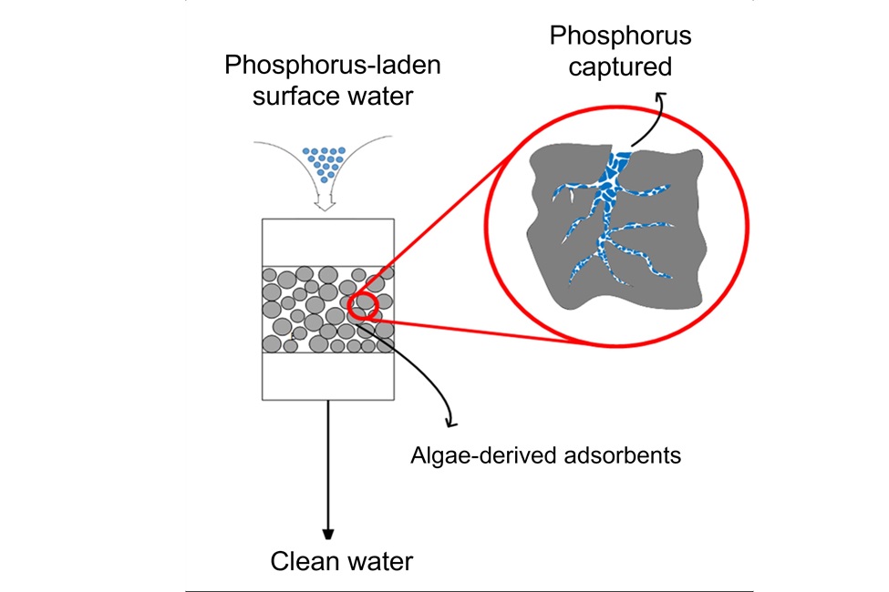 HABs Schematic