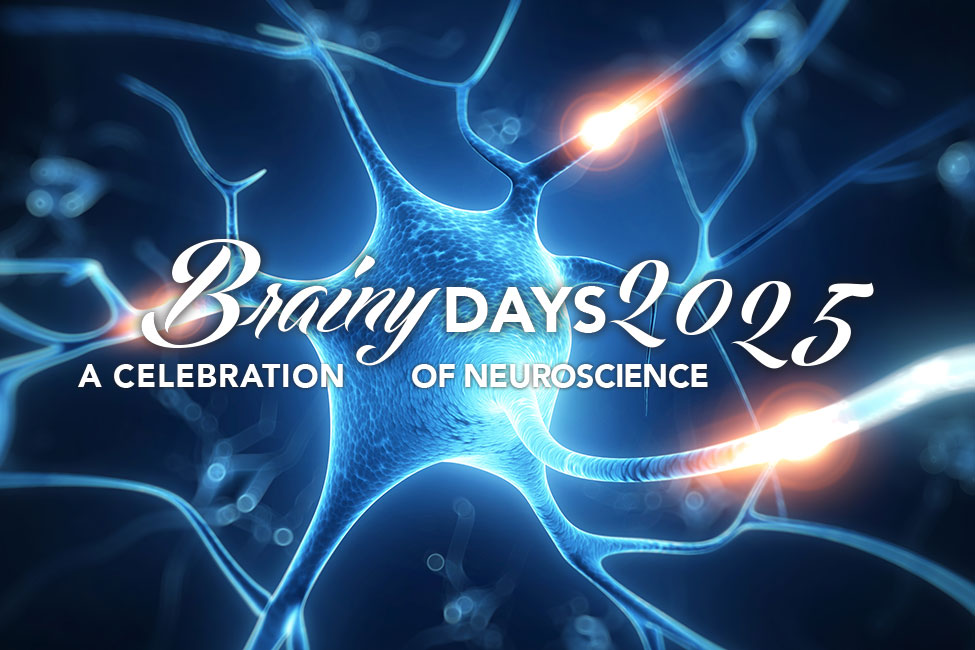 Blue graphic illustration of a neuron. The phrase "Brainy Days 2025 A Celebration of Neuroscience" is written in the center.