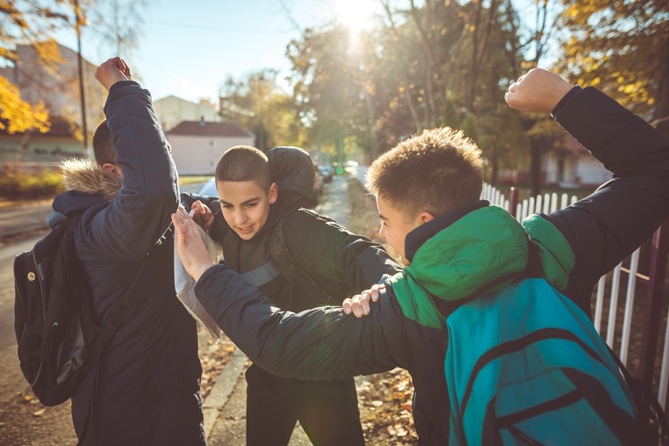 Boys, Classmates, Fighting, Enemies