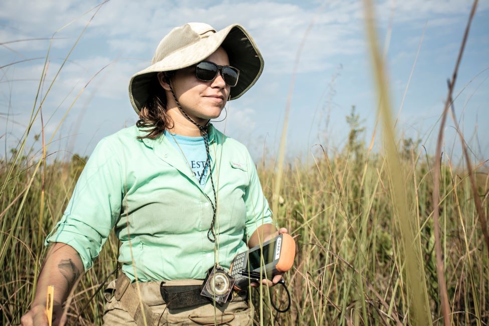 The School of Environmental, Coastal, and Ocean Sustainability (ECOS), Florida Atlantic University’s collaborative hub for programs focused on environmental sustainability, received a significant gift focused on supporting student success from Wayne and Lucretia Weiner. 