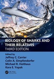 Shark Book cover