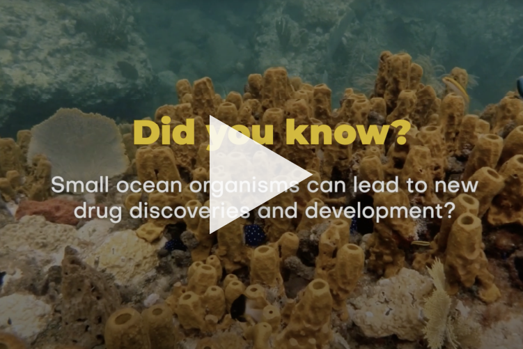 Can Sustainable Marine Resources Help Treat Humans?