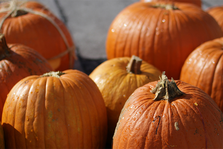 Annual Pumpkin Drop and Physics Carnival