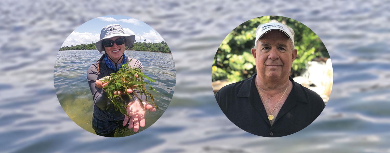 Seagrass Loss