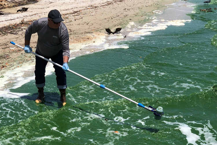 What’s ‘Fueling’ Harmful Algae in Lake Okeechobee