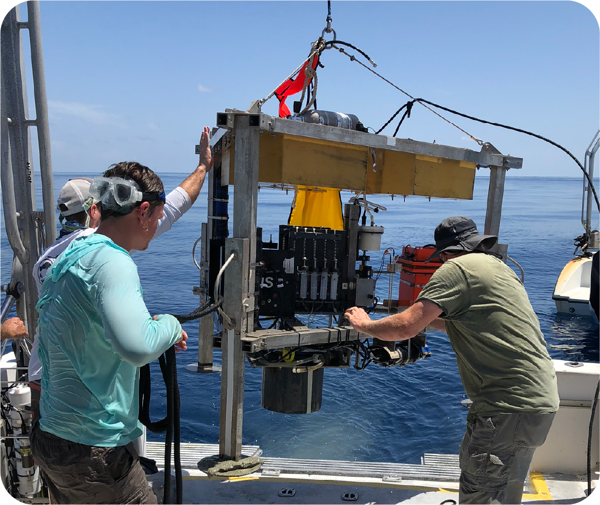 people with equipment and ocean backdrop