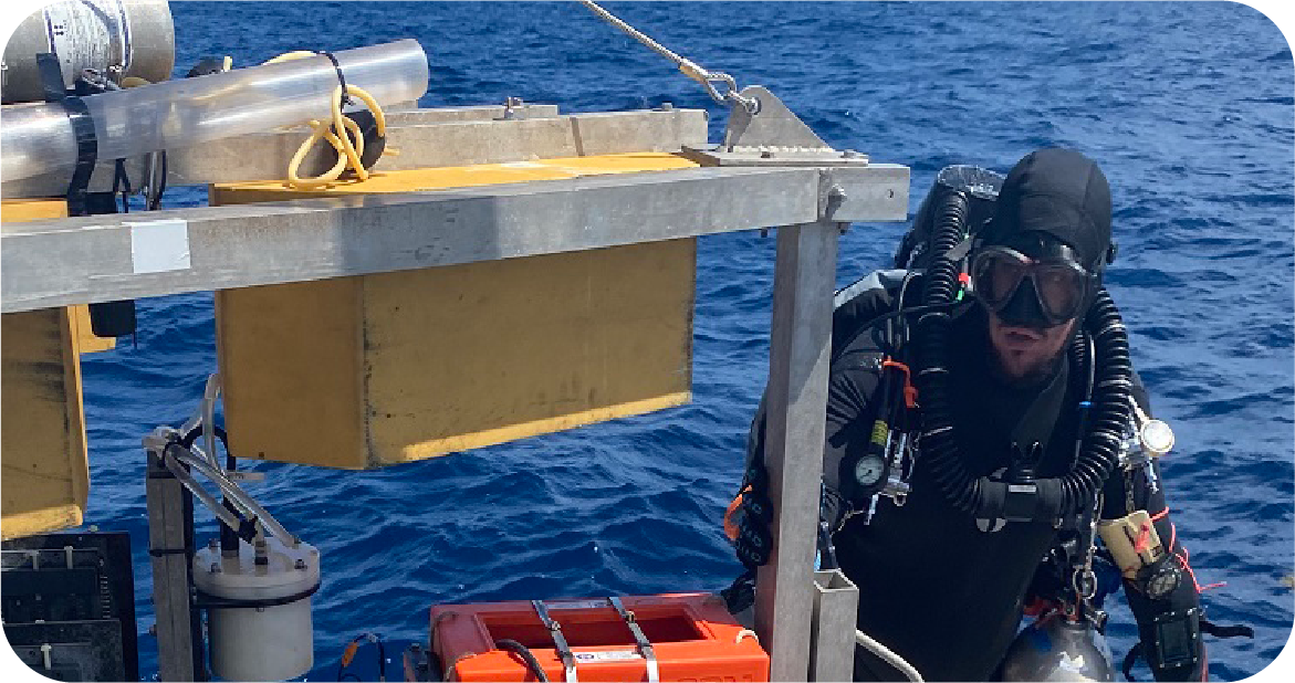 diver with equipment and ocean backdrop