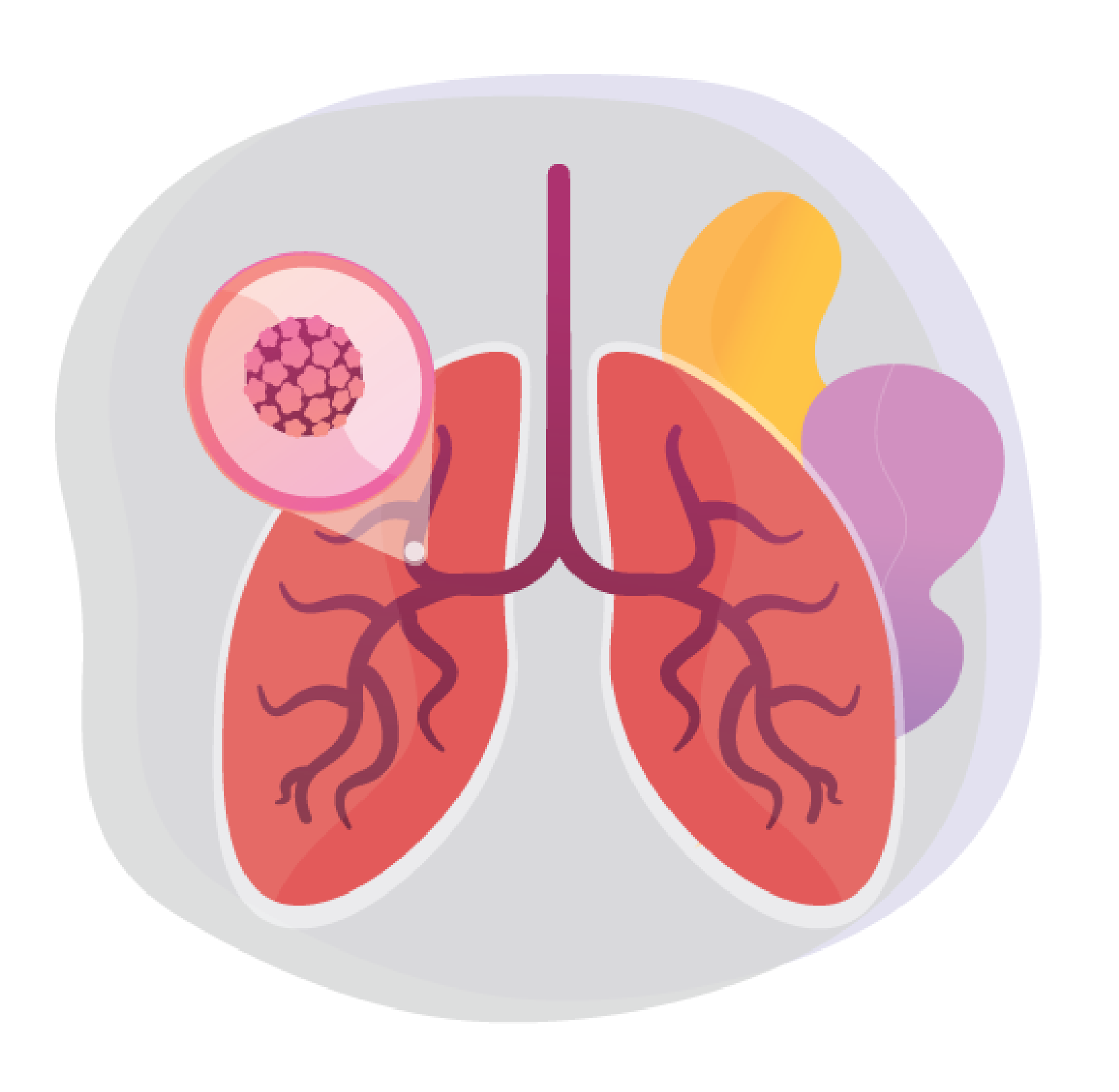 illustrations of lungs