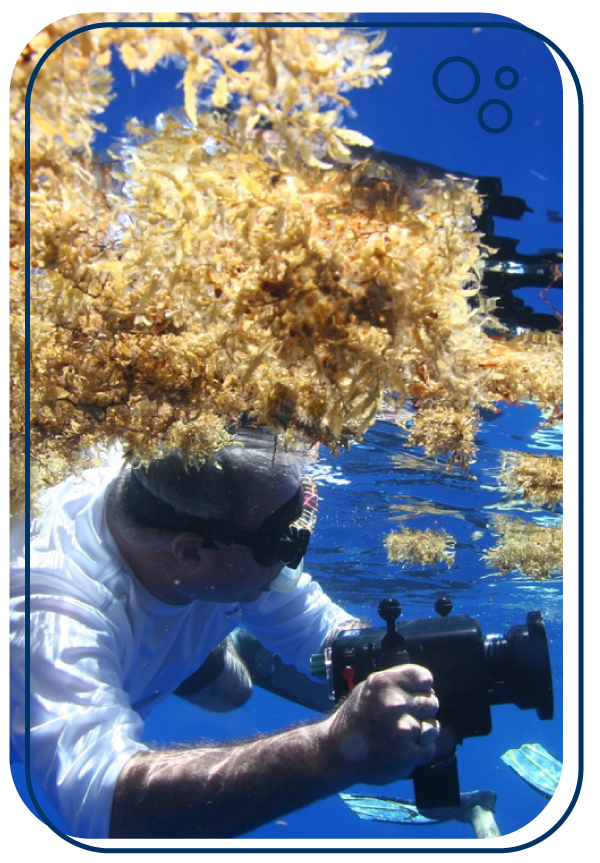 man with camera in the water