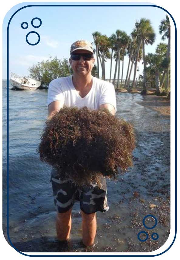 man holding red seaweed