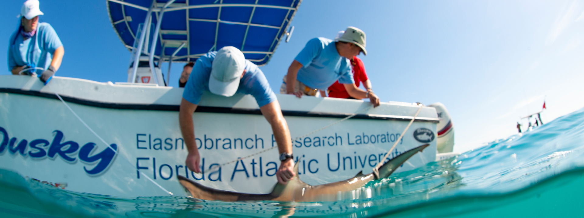 Become an Affiliate Member of the School of Environmental, Coastal, and Ocean Sustainability