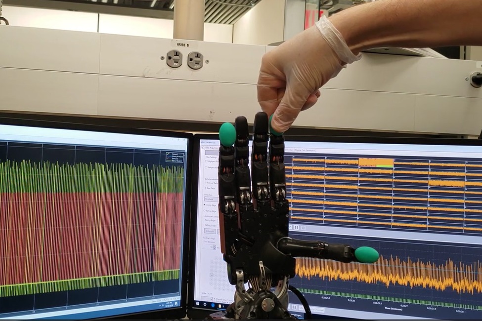 Biohybrid Robotic Hand Will Help Unravel Complex Sensation of Touch