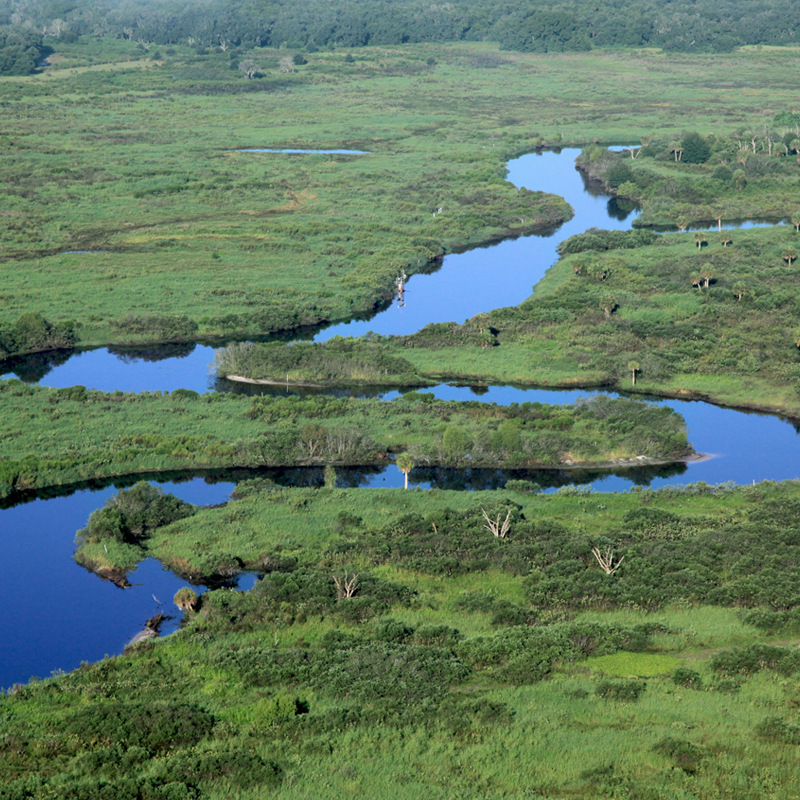 Riverwoods Field Lab