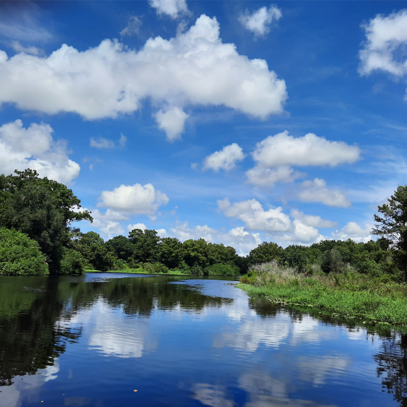 Riverwoods Field Lab