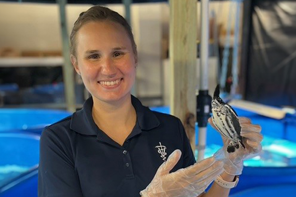 Dr. Samantha Kuschke Jumpstarts Career in Academia and Sea Turtle Research Through New Postdoctoral Program