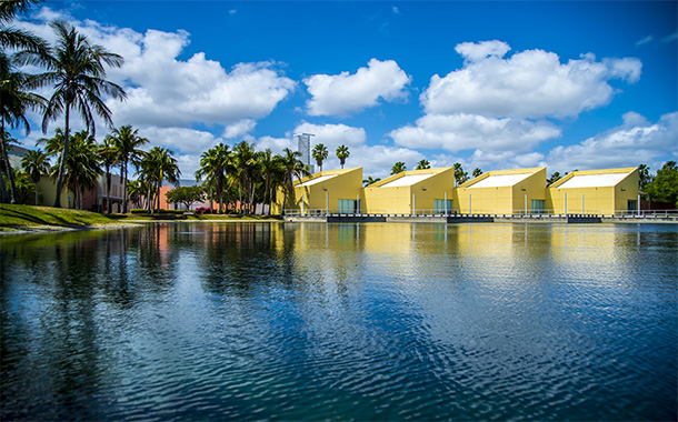 FAU Boca Raton